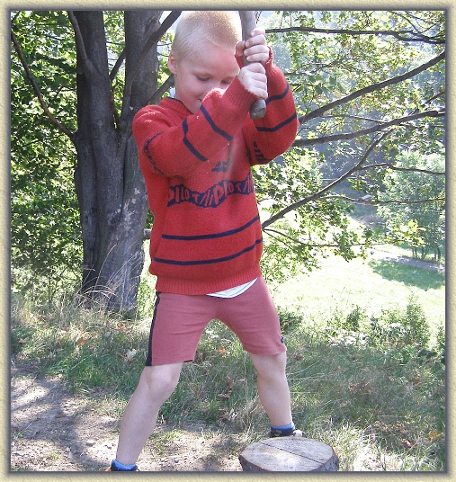 Dal snmek