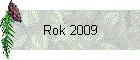 Rok 2009