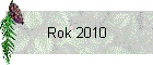 Rok 2010