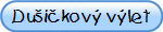 Duikov vlet