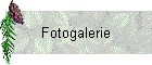 Fotogalerie